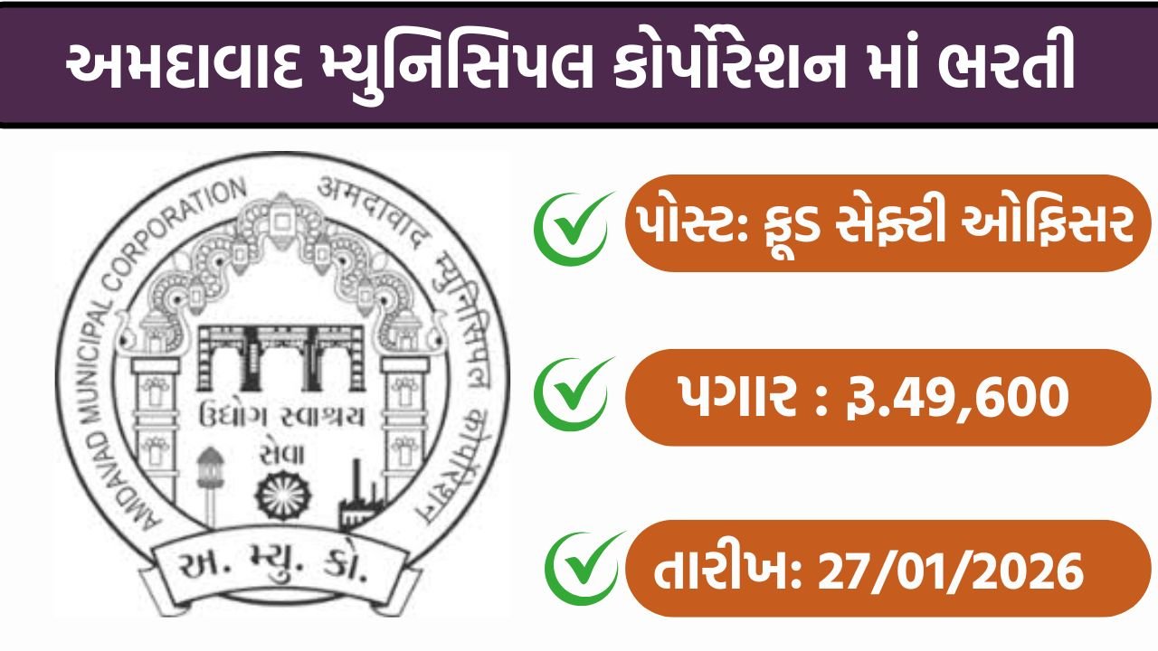 AMC Recruitment 2026